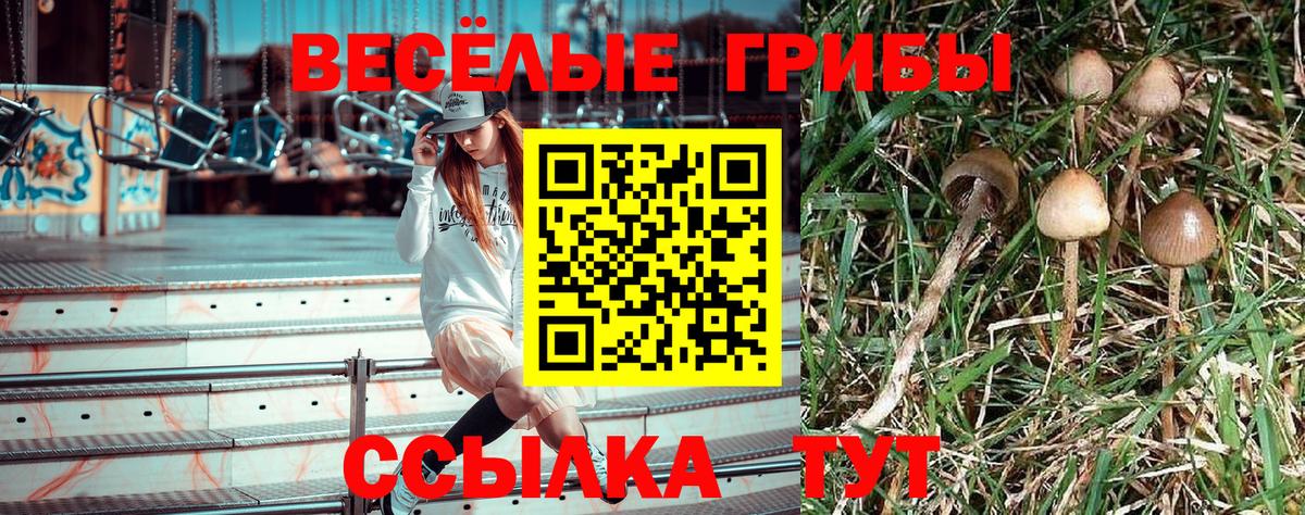 Псилоцибиновые грибы прущие грибы  Вход с VPN  дарнет шоп  Подольск 